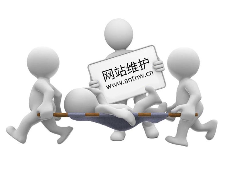 网站维护托管：网络生命的守护者
